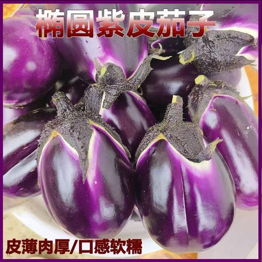 【MLT】农家自种圆茄子  皮薄肉厚   鲜嫩多汁   口感软糯 商品图1
