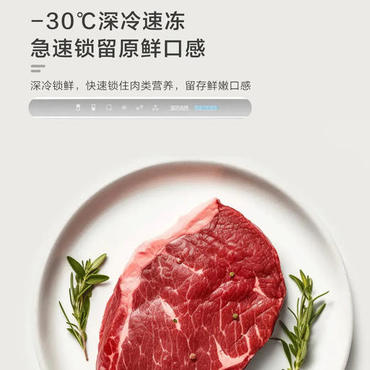 海尔（Haier）冰箱 BCD-308WGHD3E7YS 商品图9