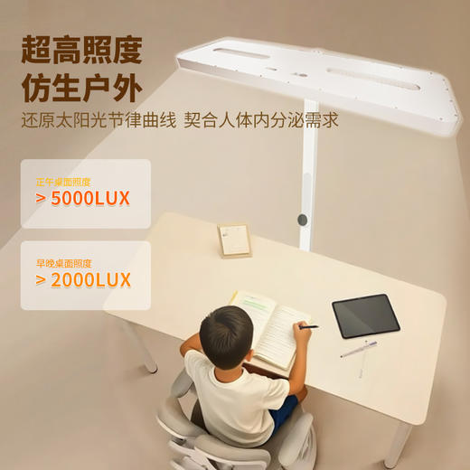 憩尔目·红养系列-压轴稀土光大路灯 L1(户外级5000Lux版)学生护眼定制 商品图8