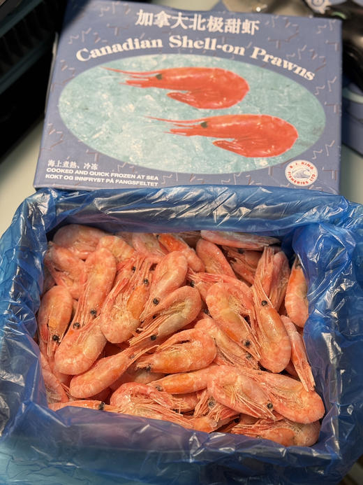 头籽北极甜虾1.8斤 商品图3