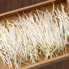 【MLT】新鲜绿豆芽  茎秆白嫩  豆香清晰  绿色蔬菜 商品缩略图0