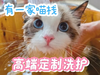 5-10斤短毛精致洗护 商品缩略图0