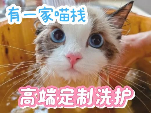 5-10斤短毛精致洗护 商品图0