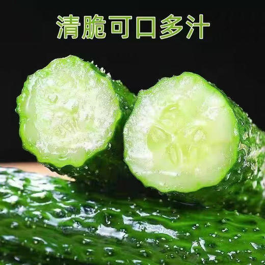 【MLT】农家带刺新鲜黄花  瓜型美观  根根均匀  生吃  凉拌  蔬菜 商品图1