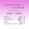 奢华款【飞燕惊鸿】大飞燕1支/蝴蝶兰1朵/紫霞仙子8支/紫罗兰2支/桔梗6朵/蓬莱松2支/氛围感仪式感鲜花 商品缩略图3