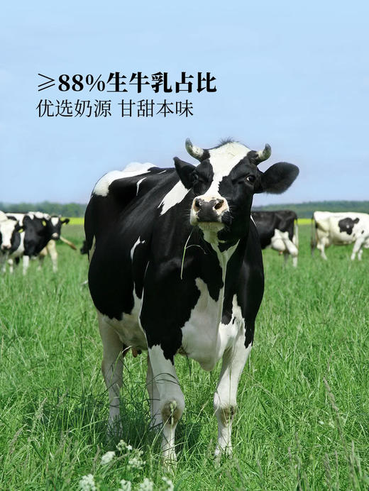 MM 山姆 蒙牛 生牛乳巧克力 1L*2 商品图3