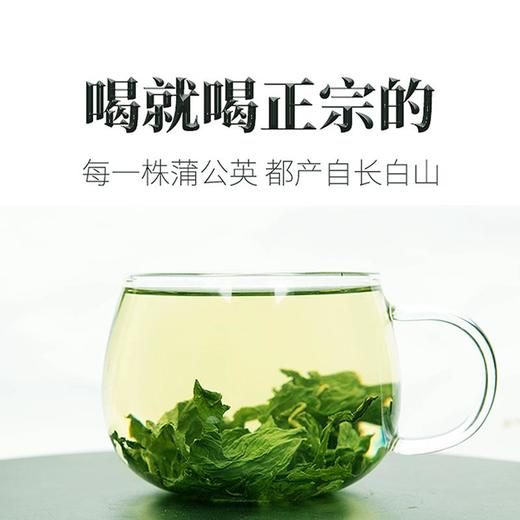 【蒲公英茶】野生长白山蒲公英11道工序层层严选 商品图1