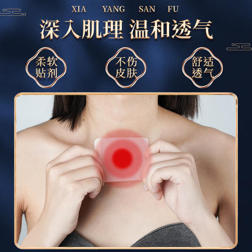 【三伏贴】夏养三伏 古方传承 调理体质 排湿去浊 商品图7