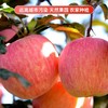 【白水苹果】红富士4.5-5斤12枚75#中果 商品缩略图1