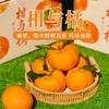 【柑与橘双鲜组合】大理椪柑和纽荷尔脐橙  太绝了！鲜爽叠加甜润翻倍！多汁过瘾美味不单调！ 商品缩略图0