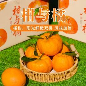 【柑与橘双鲜组合】大理椪柑和纽荷尔脐橙  太绝了！鲜爽叠加甜润翻倍！多汁过瘾美味不单调！