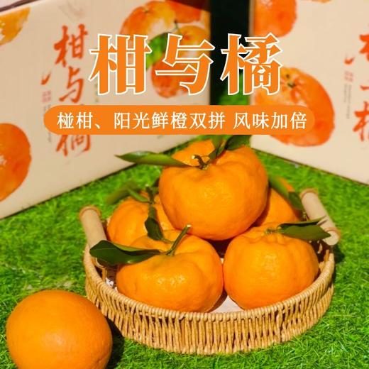 【柑与橘双鲜组合】大理椪柑和纽荷尔脐橙  太绝了！鲜爽叠加甜润翻倍！多汁过瘾美味不单调！ 商品图0