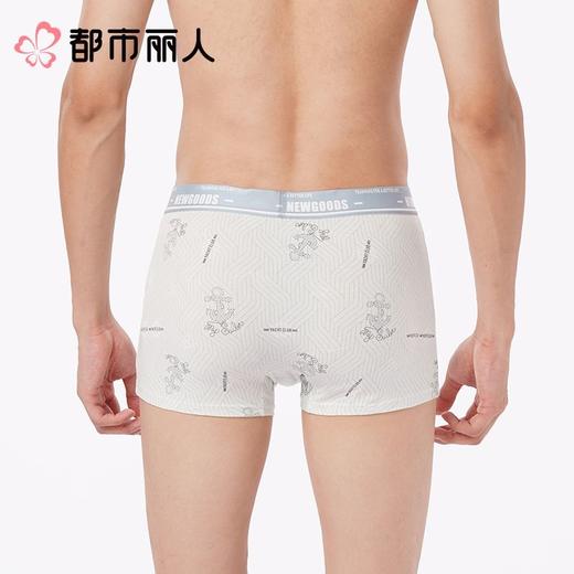 都市丽人内裤男士内裤40S棉拉架内裤棉平角内裤明筋内裤FKCG05 商品图2