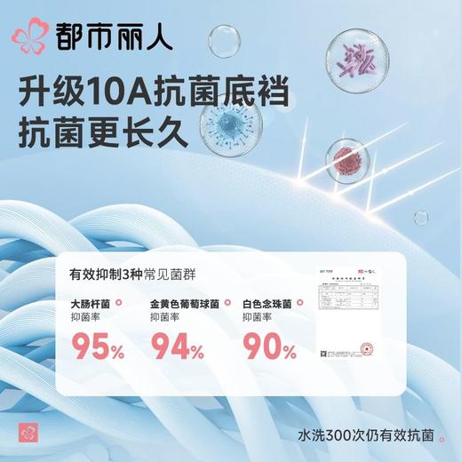 都市丽人内裤男士内裤60S木莱尔内裤人棉平角内裤明筋内裤FKCC15 商品图4