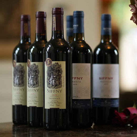 【西忽雷酒庄·塞西莉亚/蓝斯干红葡萄酒 】热卖中！！送海马刀！【阿根廷原瓶进口】14度干红 买2箱加送电动开瓶器！ 商品图9