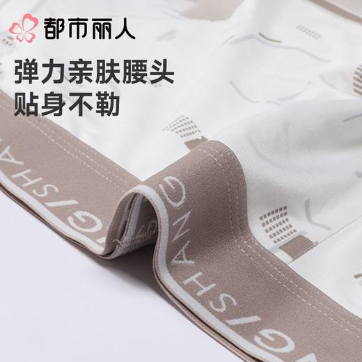 都市丽人内裤男士内裤60S木莱尔内裤人棉平角内裤明筋内裤FKCC15 商品图5