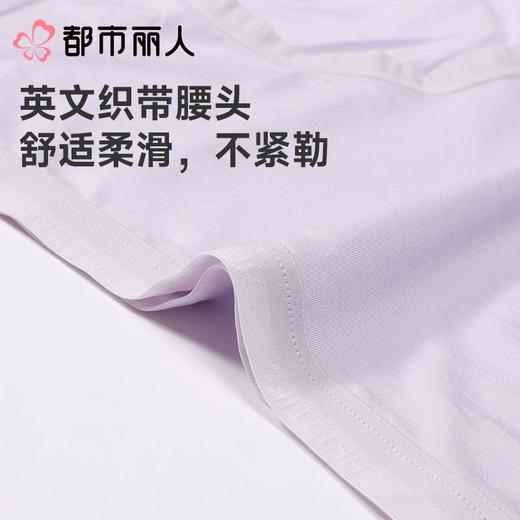 都市丽人内裤女士内裤100支莫代尔内裤木代尔内裤纤柔绵内裤LKC5C2 商品图6