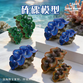 仿真砗磲摆件