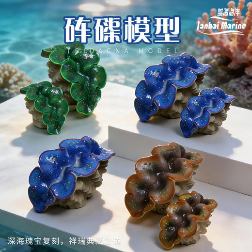 仿真砗磲摆件 商品图0