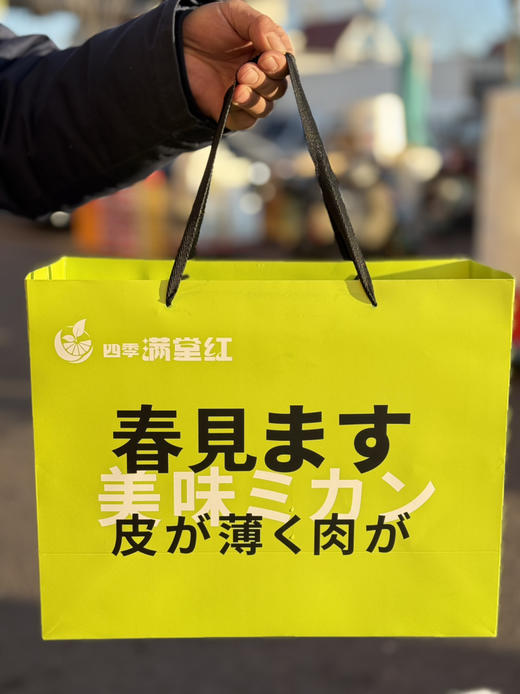 满堂红老树耙耙柑 商品图4