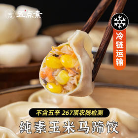 【满99随机赠饺子/包子/饭团等盲盒1份、不可指定、多买多送】五点素 水饺饺子 翡翠时蔬/山野荠菜/山珍松茸/玉米马蹄/冬笋三鲜  500g/袋【24个/袋】