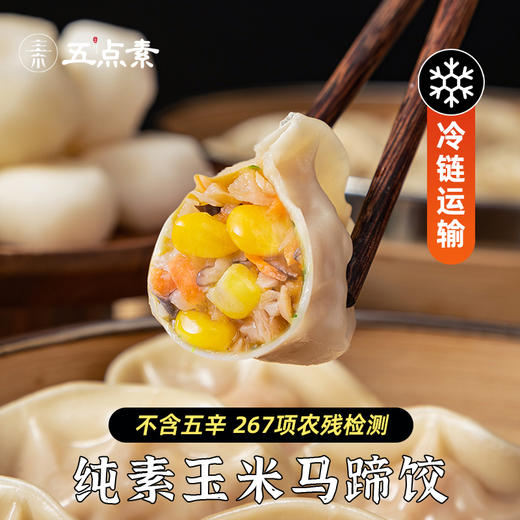 五点素 水饺饺子 翡翠时蔬/山野荠菜/山珍松茸/玉米马蹄/冬笋三鲜  500g/袋【24个/袋】 商品图0