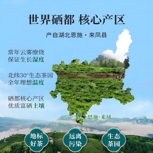 【百香藤藤茶】身体调养茶 口感清爽，地理标识产品，来自硒都湖北恩施核心产区，黄铜含量40%（30克＊4罐） 商品图1