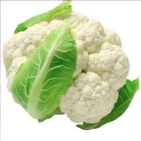 【MLT】新鲜花菜  自然成熟  老式花菜  绿色蔬菜  多种做法