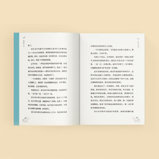 《特鲁申·北境森林奇旅》（全3册） 商品图9