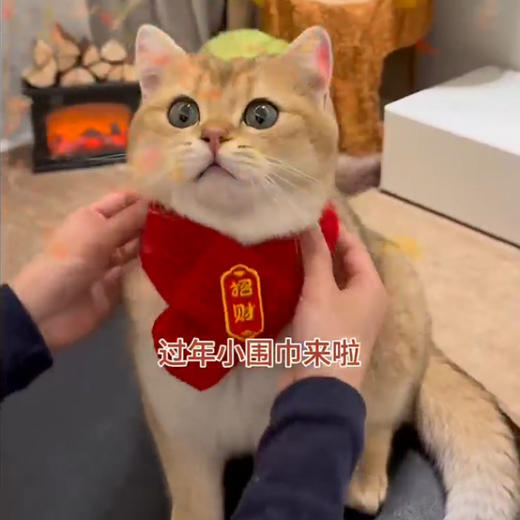 【中国风】猫咪狗宠物围脖针织保暖红色围巾 好寓意创意手工围脖 商品图3