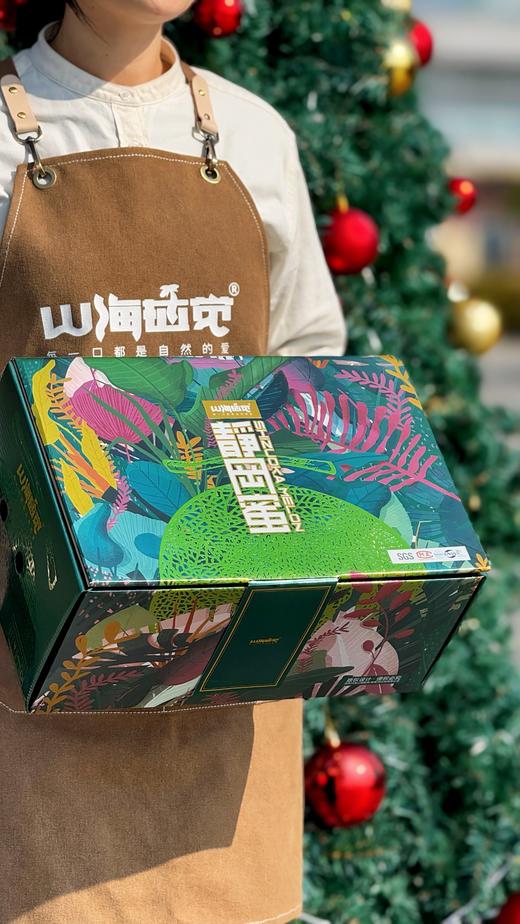 来自海南昌江静冈蜜瓜 原种引进 跨越山海 商品图3