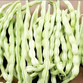 【SF】白不老豆角  新鲜绿色蔬菜