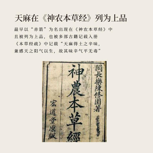 正安 天麻蜜片 古法蜜炙10道工艺调和偏性 拒绝香精色素防腐剂 头部头痛健康蜜饯办公室零食休闲小吃 天麻蜜片50g/罐 商品图2