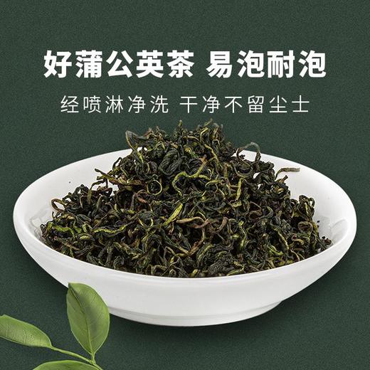 【蒲公英茶】野生长白山蒲公英11道工序层层严选 商品图4