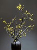 中国黄腊梅鲜切枝条一扎 商品缩略图6