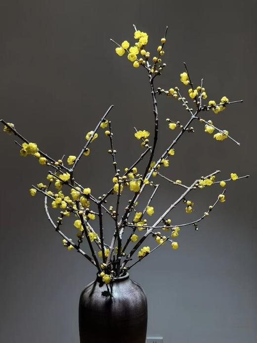 中国黄腊梅鲜切枝条一扎 商品图6