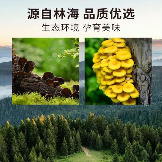 【新昊森林山珍礼包】精选山珍，产地直采，天然无添加，家常滋补好选择！ 商品图5