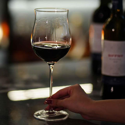 【西忽雷酒庄·塞西莉亚/蓝斯干红葡萄酒 】热卖中！！送海马刀！【阿根廷原瓶进口】14度干红 买2箱加送电动开瓶器！ 商品图0