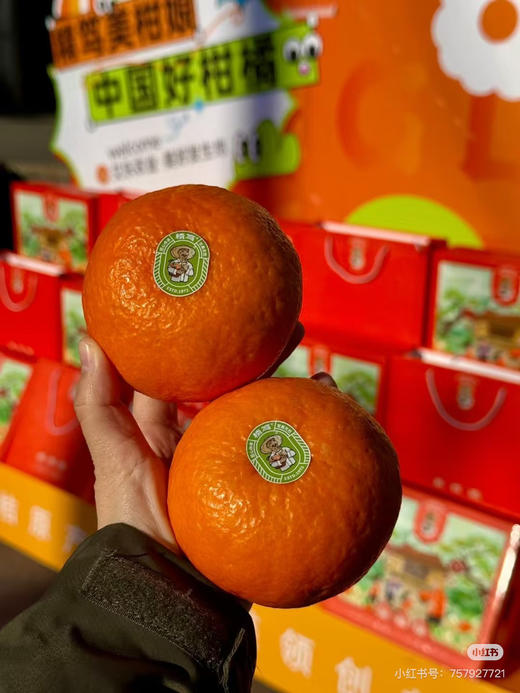 【精笃®美柑娘】爆汁，化渣入口即化，风味十足，果香浓郁，9甜一酸，天然的果汁，VC爆表，可食用率很高，果肉饱满细腻，每一颗果实都自然生长，无添加剂， 不催熟，不打蜡！3斤/箱 商品图2