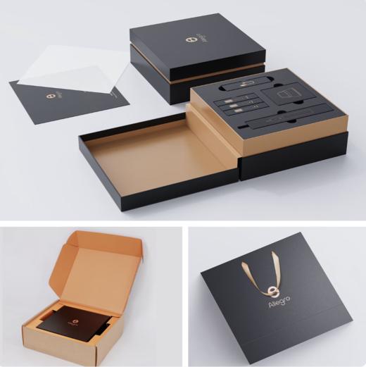 ALLEGRO爱丽歌官方正品简奢高端声波电动牙刷成人情侣款软毛家用自动深度清洁护龈送男女好礼生日结婚纪念 商品图3