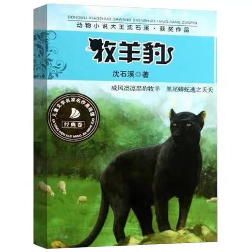 【独家旧书3折】牧羊豹 二手书籍（新疆 西藏 甘肃 青海 海南不发货）bj 商品图0