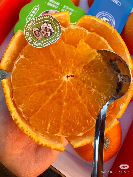 【精笃®美柑娘】爆汁，化渣入口即化，风味十足，果香浓郁，9甜一酸，天然的果汁，VC爆表，可食用率很高，果肉饱满细腻，每一颗果实都自然生长，无添加剂， 不催熟，不打蜡！3斤/箱 商品图1