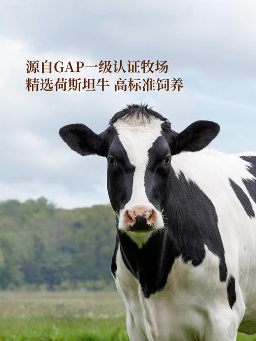 MM 山姆 Member's Mark 低脂高钙鲜牛奶 2L 商品图3