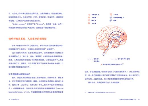 大脑的小心思（平装），看懂大脑、看透自身行为本质，一本让大脑更高效的科学指南。 商品图7