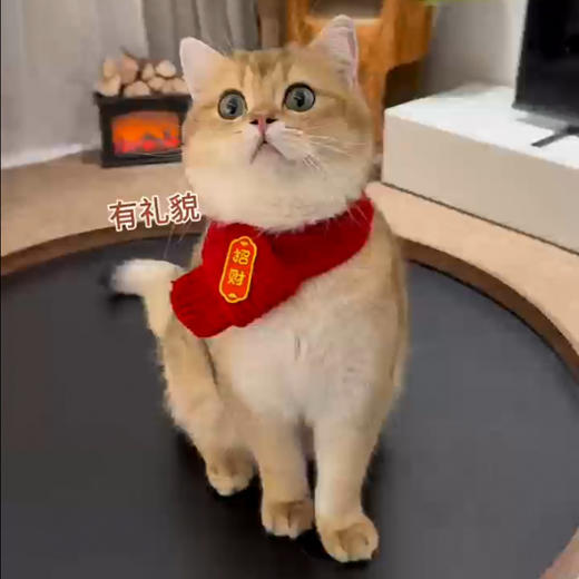 【中国风】猫咪狗宠物围脖针织保暖红色围巾 好寓意创意手工围脖 商品图1