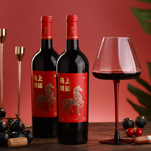 【”马上鸿运“红酒750ml】马年春节元旦礼品 宁夏贺兰山干红葡萄酒  商品图0