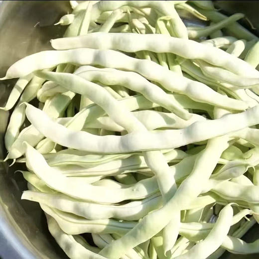 【MLT】当季白不老豆角  新鲜芸豆  四季豆  绿色蔬菜 商品图1