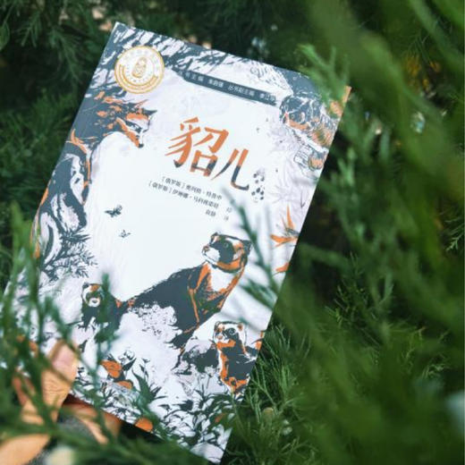 《特鲁申·北境森林奇旅》（全3册） 商品图2