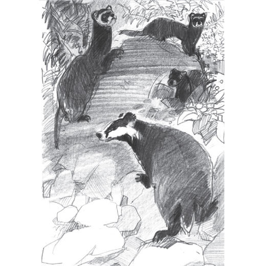 《特鲁申·北境森林奇旅》（全3册） 商品图4