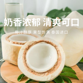 【泰国香水椰】鲜甜多汁 肉质脆嫩